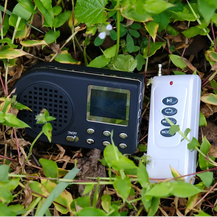 Nouveau lecteur MP3 numérique  - Metronome Digital avis et prix