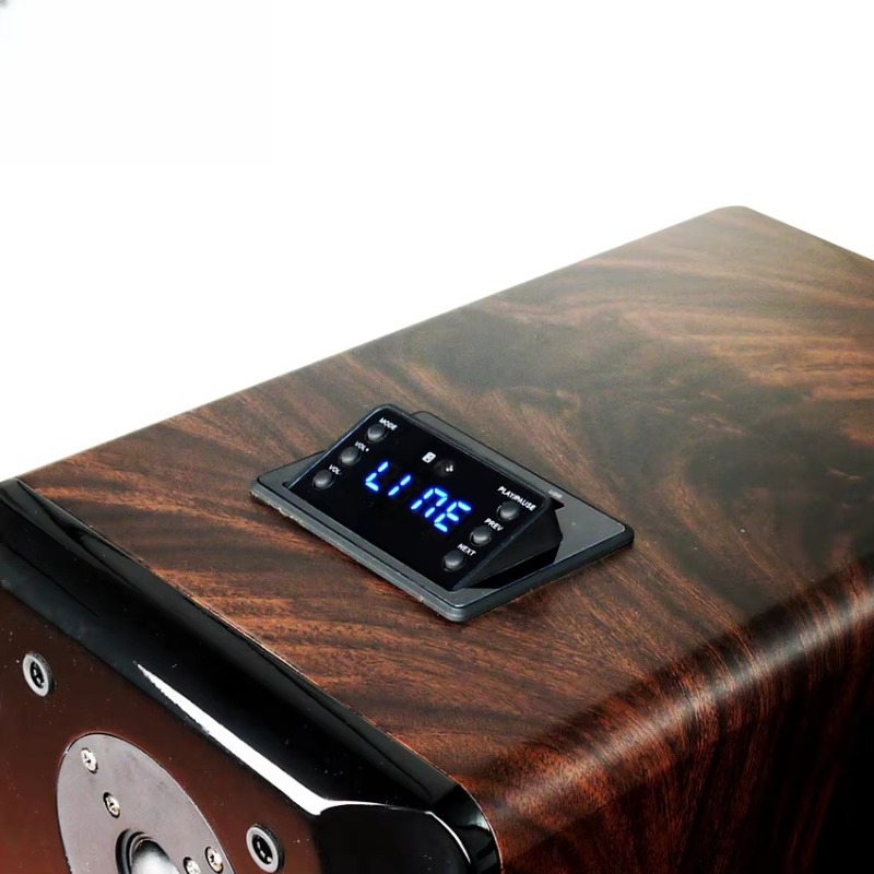 Enceinte de karaoké active hau - Audio Music Sound avis et prix