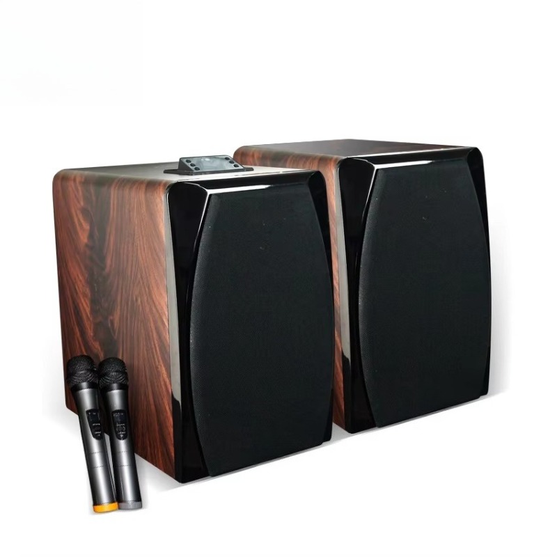 Enceinte de karaoké active hau - Audio Music Sound avis et prix